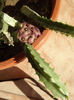 DSCF0174