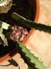 DSCF0176