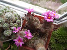 DSCF0469