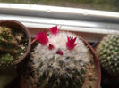 DSCF0217