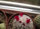 DSCF0219