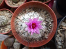 DSCF0225