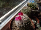 DSCF0304