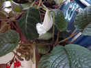 DSCF0275
