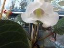 DSCF0346