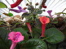 DSCF0464
