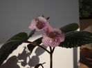 DSCF0510