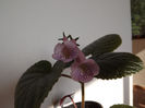 DSCF0512