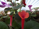 DSCF0518