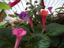 DSCF0519