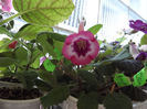 DSCF0520