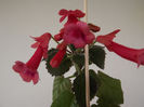 DSCF0562