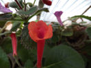 DSCF0465