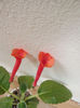 DSCF0555