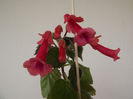 DSCF0560
