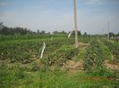DSCN1508