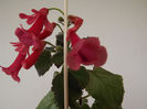 DSCF0564