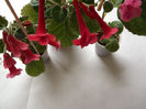 DSCF0565
