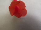 DSCF0570