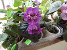 DSCF0582