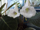 DSCF0639
