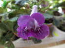 DSCF0634