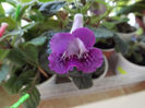 DSCF0636