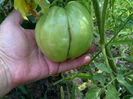 IMG-20130713-01800