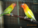 DSCN0147