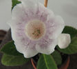 DSCN0886