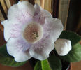 DSCN0887