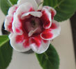 DSCN0893