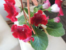 DSCN0898