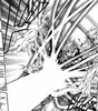 byakuran and tsuna 1