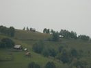 DSCN9250