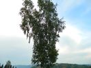 DSCN9277