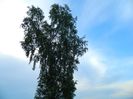 DSCN9278