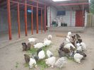 DSC03571