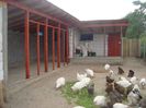 DSC03572