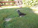 SAM_0154