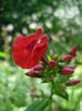 DSC00849