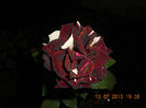 DSCN3756