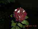 DSCN3757
