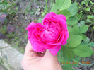 DSCN3784