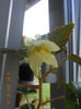 DSCN3750