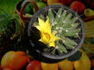 DSCN3820