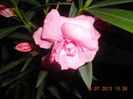 DSCN3755