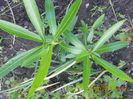 DSCN3777