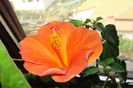 DSC02085