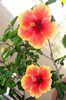 DSC02095